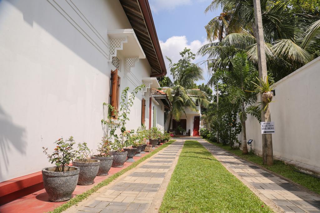 Tithira Guest House Mirissa Ngoại thất bức ảnh